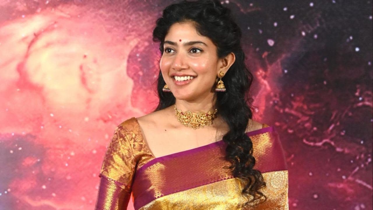 සීතා චරිතය ගැන සායි පල්ලවීගේ සංවේදී අදහස