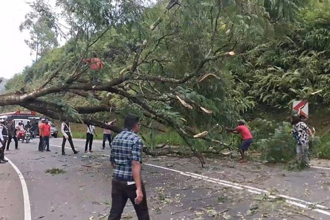 ஹட்டன்-கொழும்பு வீதியில் மரம் விழுந்து போக்குவரத்து பாதிப்பு