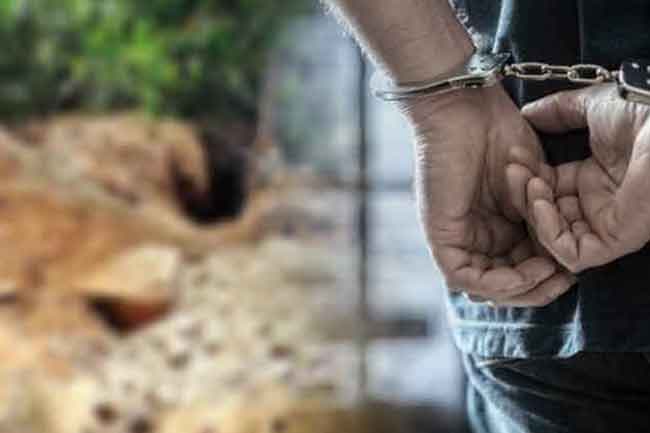 පුරාවස්තු සෙවූ දෙදෙනෙක් දමනදී අත්අඩංගුවට