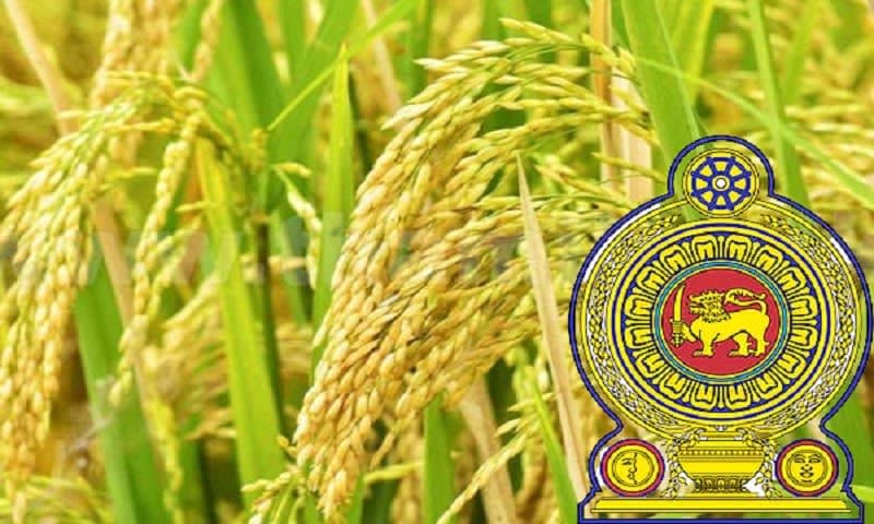 அரசின் நெல் கையிருப்பில் இருந்து 30,000 மெட்ரிக் தொன் அரிசி