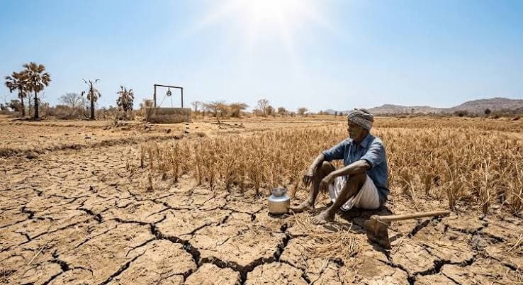 Drought Damages Nearly 8,000 Acres of Crops