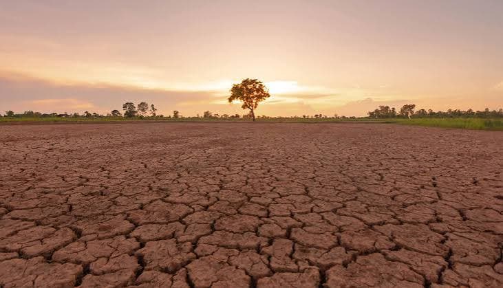 Stronger El Niño Expected This Time