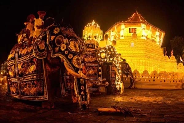 ඇසළ පෙරහැරට සත්ව සුබසාධන පනතින් බලපෑමක් නැහැ