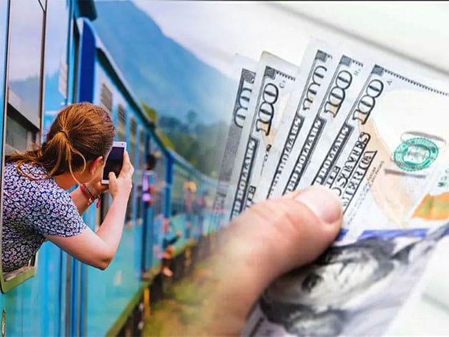 Sri Lanka Tourism Revenue Falls 11.5%